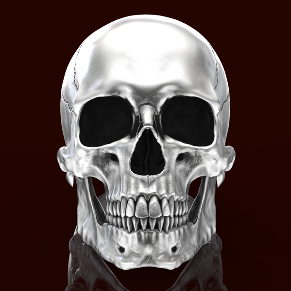 New Anatomical full skull ring