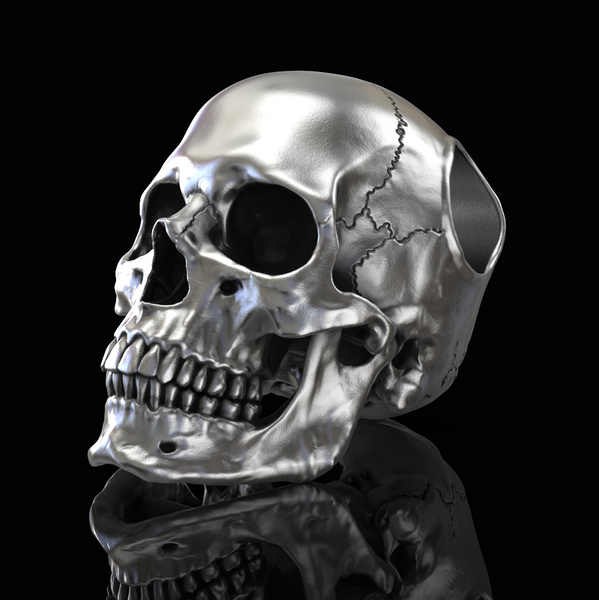 Full Anatomical Skull Pendant