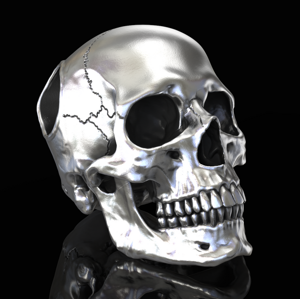 Full Anatomical Skull Pendant